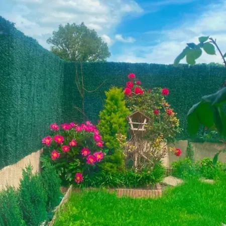 Privee Chez Maison Magnifique A 20 Min Cdg Homestay Sevran
