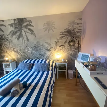 Privee Chez Maison Magnifique A 20 Min Cdg Homestay *